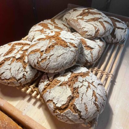 Le Pavé de Seigle (≃600Gr)